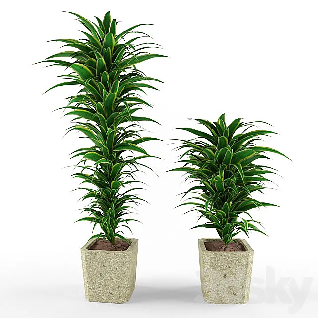 Plants – Flowers – 3D Models Download – 0249