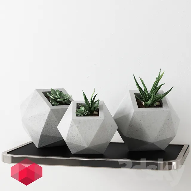 Plants – Flowers – 3D Models Download – 0252