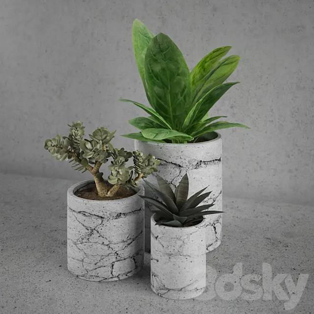 Plants – Flowers – 3D Models Download – 0258