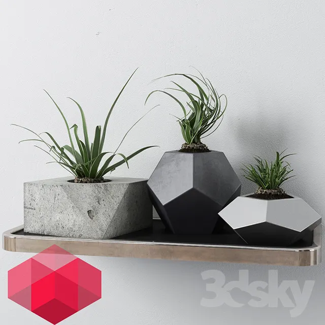Plants – Flowers – 3D Models Download – 0262