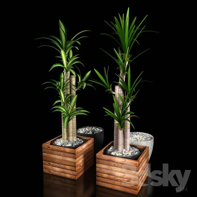 Plants – Flowers – 3D Models Download – 0268