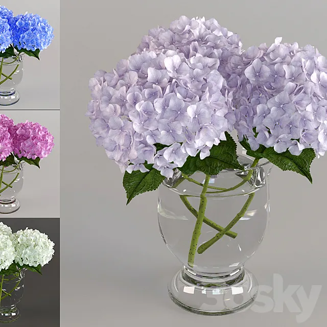 Plants – Flowers – 3D Models Download – 0273