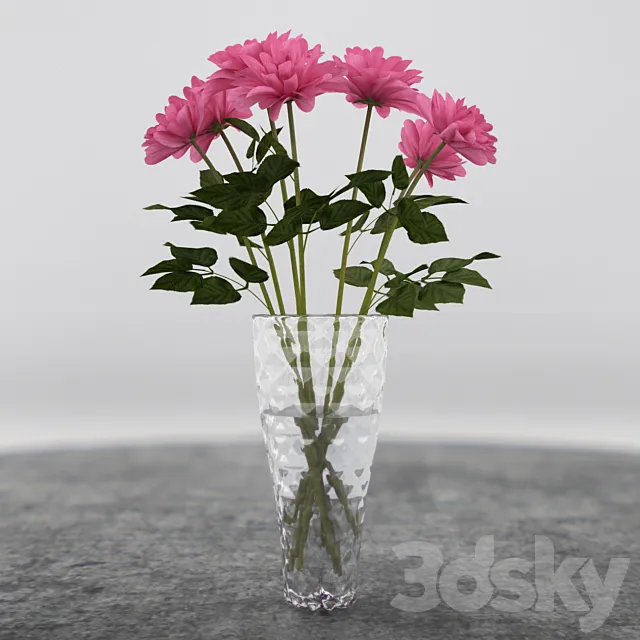Plants – Flowers – 3D Models Download – 0305