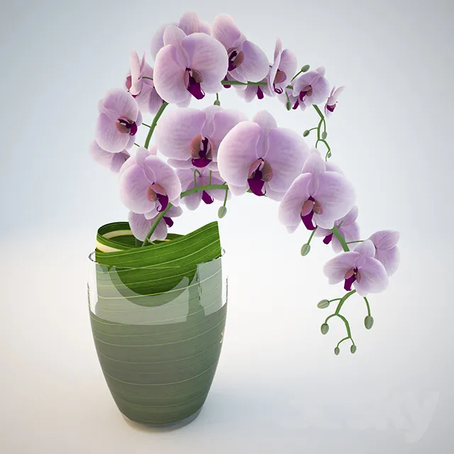 Plants – Flowers – 3D Models Download – 0315