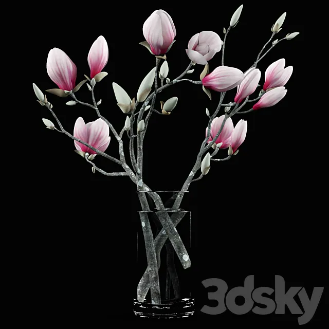 Plants – Flowers – 3D Models Download – 0323