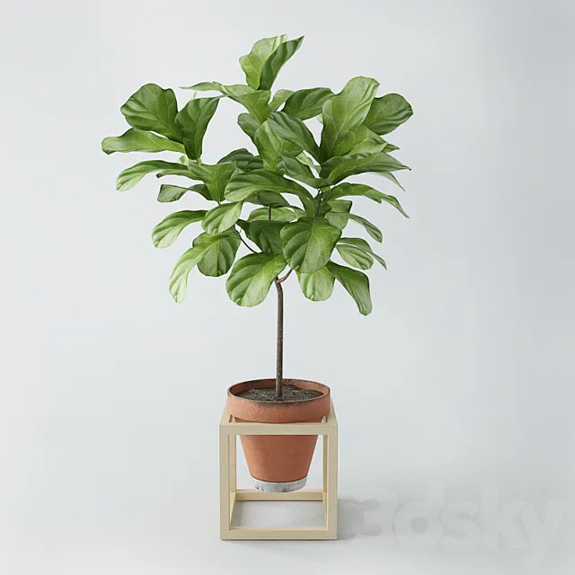 Plants – Flowers – 3D Models Download – 0326