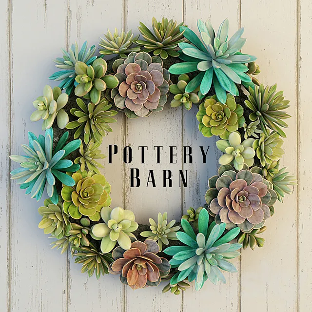 Pottery Barn Succulent Wreath 3DS Max - thumbnail 3