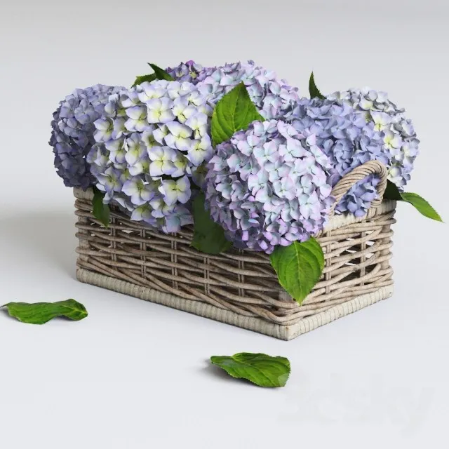 Hydrangea in basket 3DS Max - thumbnail 3