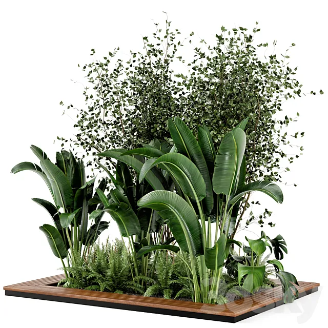 Plants – Flowers – 3D Models Download – 0351
