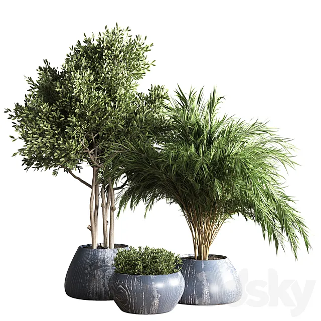 Plants – Flowers – 3D Models Download – 0358