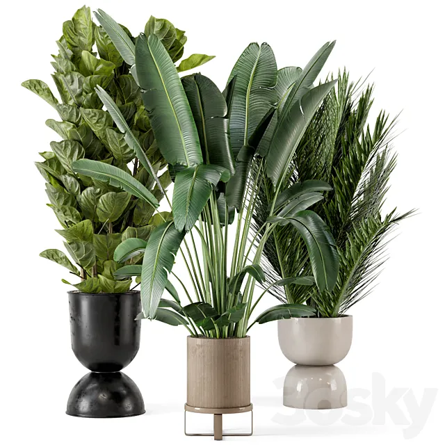 Plants – Flowers – 3D Models Download – 0361