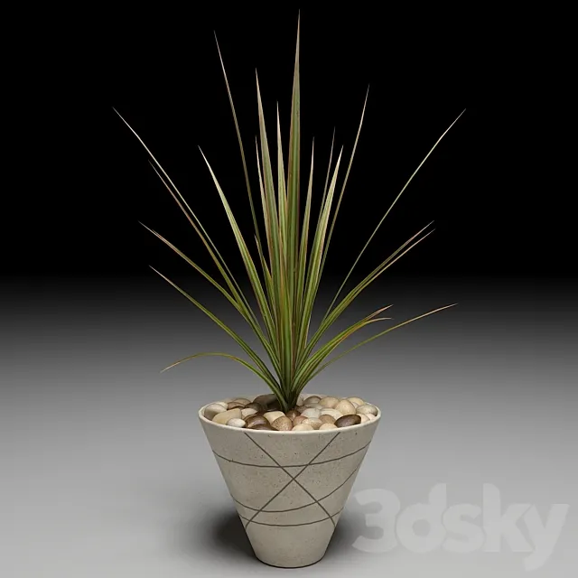 Plants – Flowers – 3D Models Download – 0365