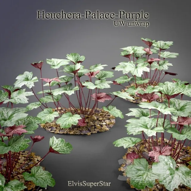 Plants – Flowers – 3D Models Download – 0372