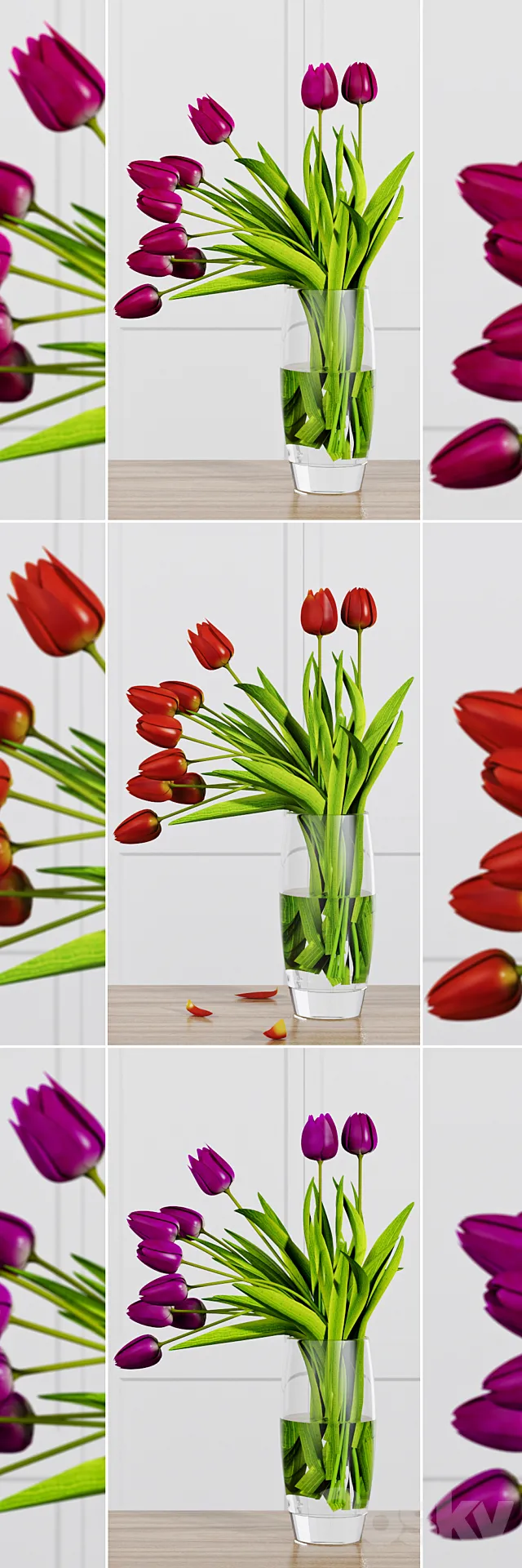 Plants – Flowers – 3D Models Download – 0376