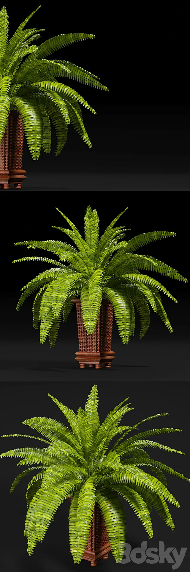 Plants – Flowers – 3D Models Download – 0380