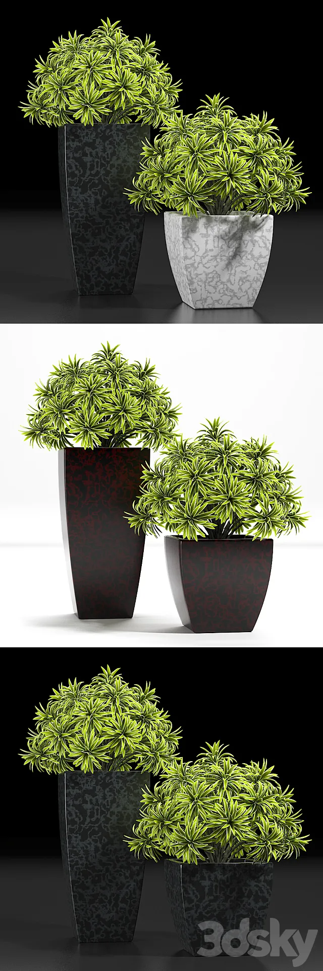 Plants – Flowers – 3D Models Download – 0383
