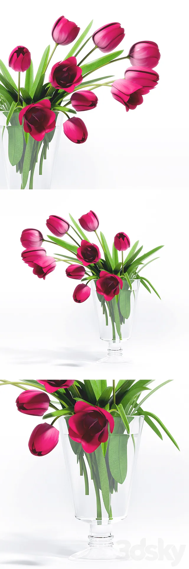 Plants – Flowers – 3D Models Download – 0386