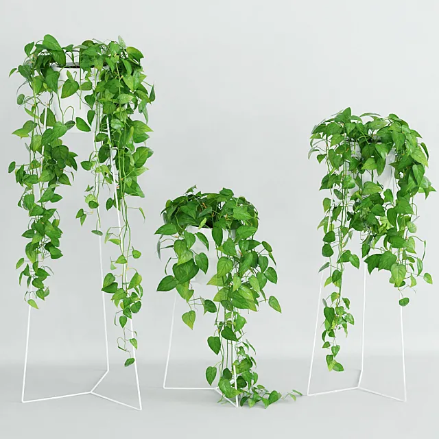 Plants – Flowers – 3D Models Download – 0389