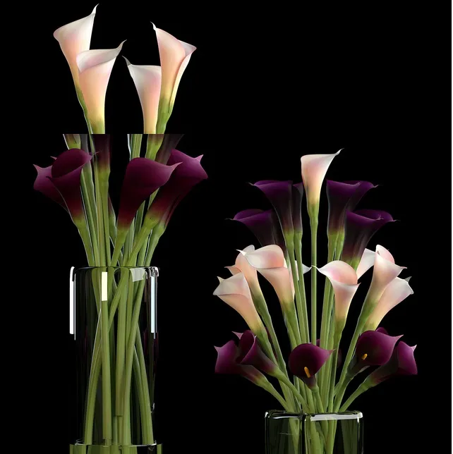 CALLA LILLY PURPLE 3DS Max - thumbnail 3