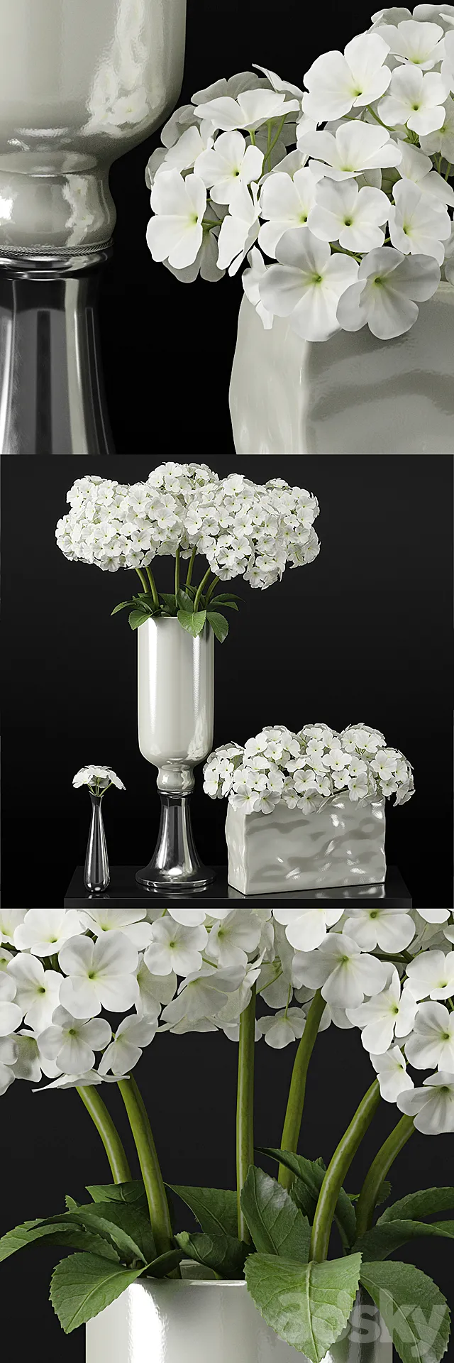 Plants – Flowers – 3D Models Download – 0407