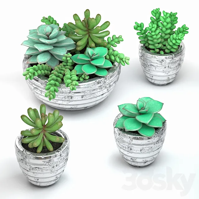 Plants – Flowers – 3D Models Download – 0409
