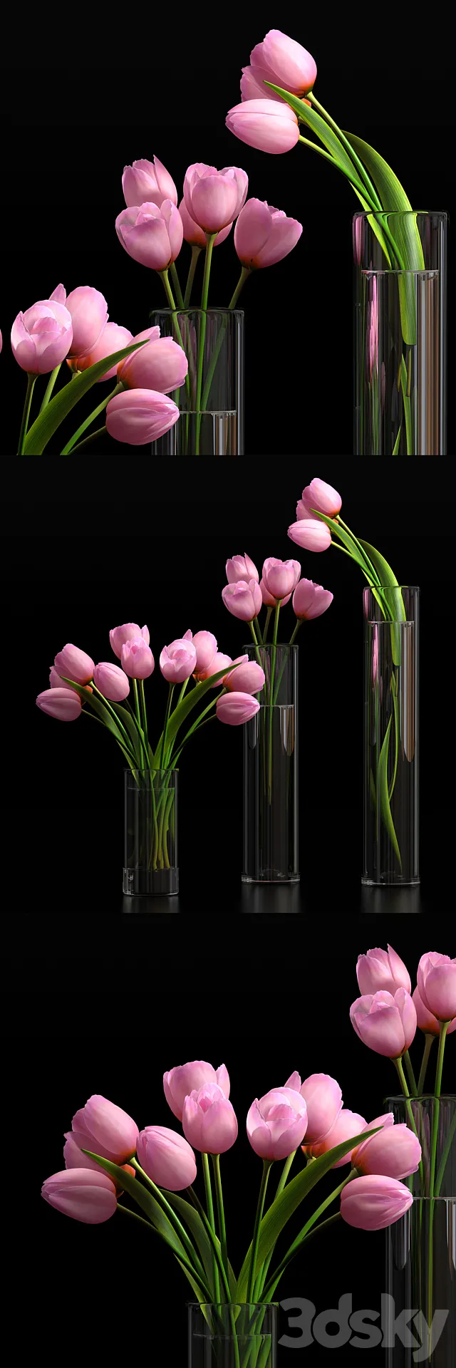 Plants – Flowers – 3D Models Download – 0412