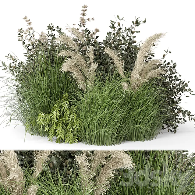 Plants – Flowers – 3D Models Download – 0414