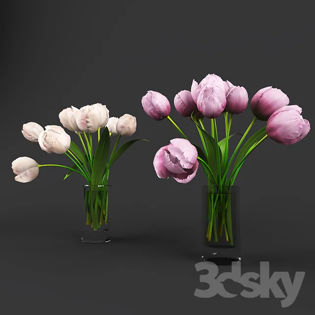 Plants – Flowers – 3D Models Download – 0424