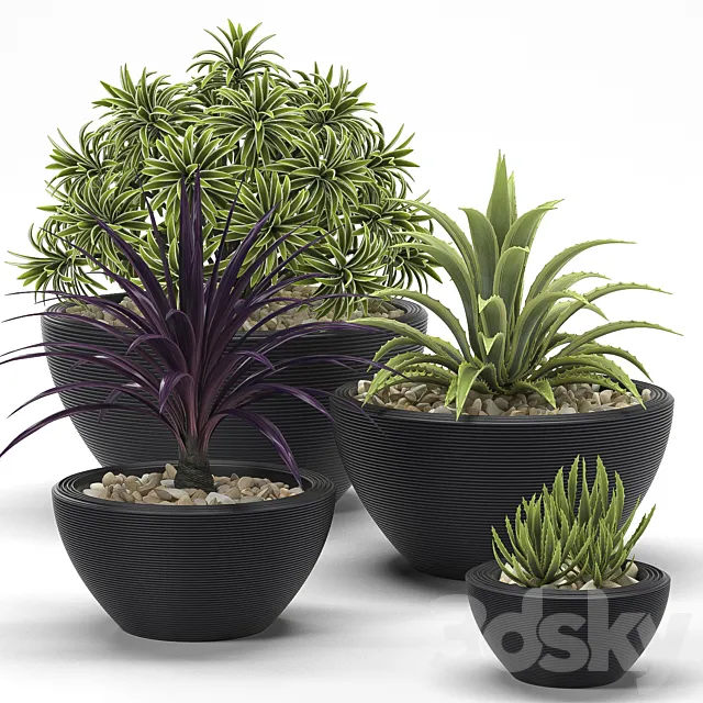 Plants – Flowers – 3D Models Download – 0428