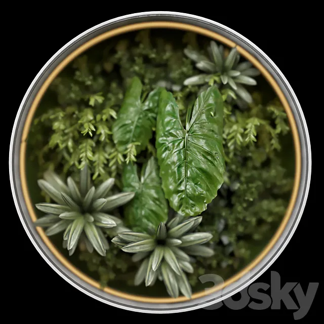 Indoor Wall Garden Behind the Opaque Glass – Set 870 3DS Max - thumbnail 3