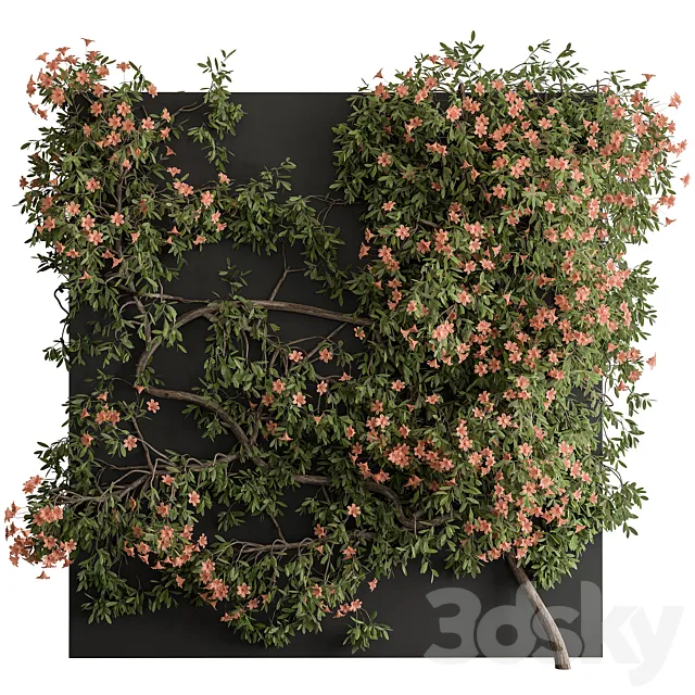 Outdoor Plant Set 426- Ivy on Wall 3DS Max - thumbnail 3