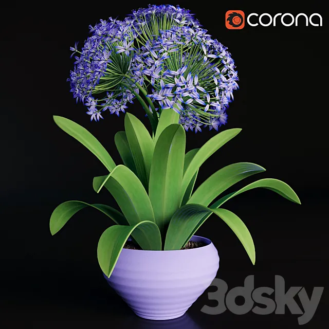 Plants – Flowers – 3D Models Download – 0452