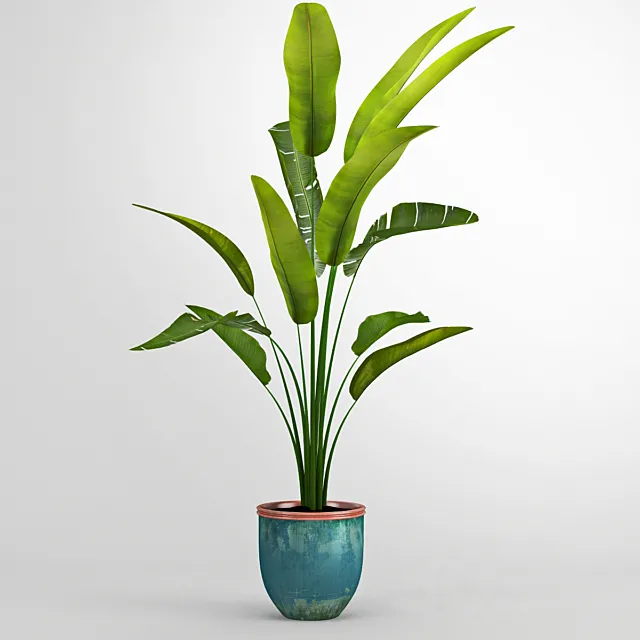 Banana trees 3DS Max - thumbnail 3