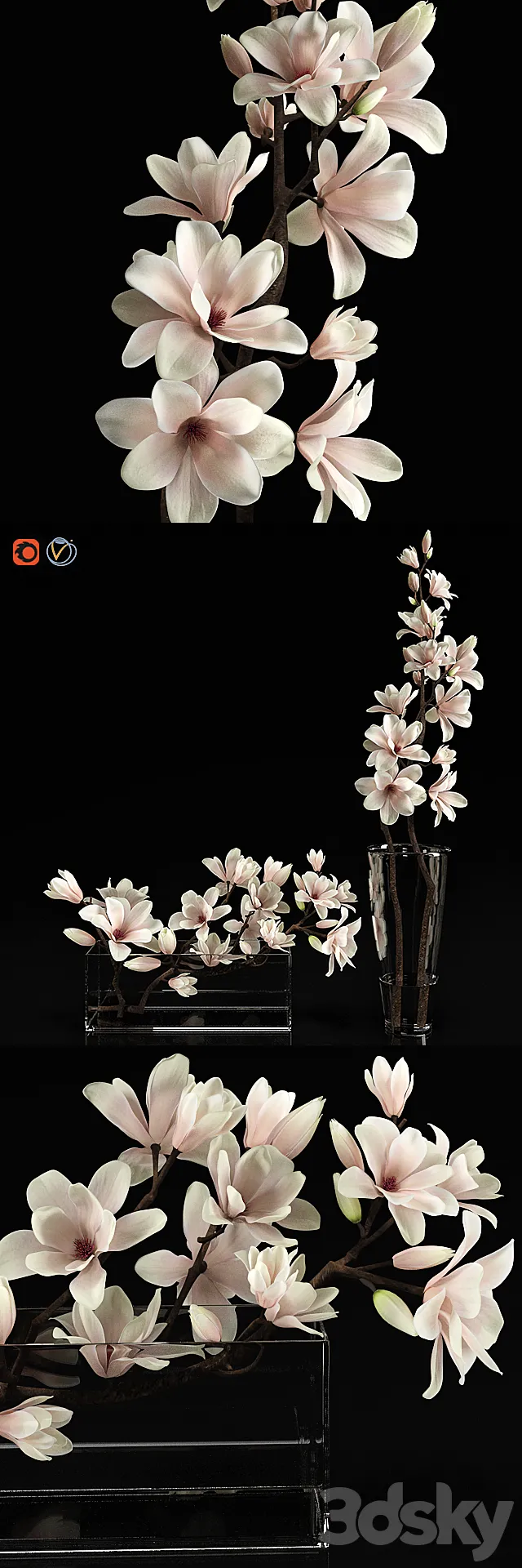 Plants – Flowers – 3D Models Download – 0459