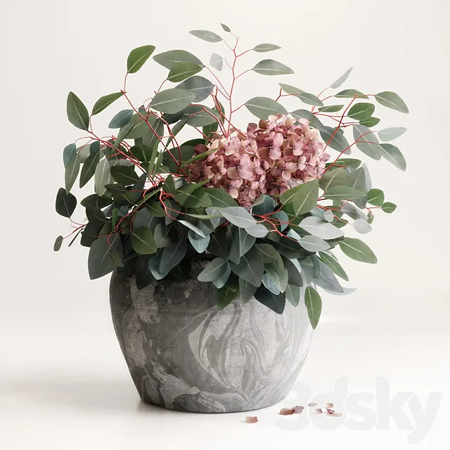 Bouquet of Eucalyptus with Hydrangea 3DS Max - thumbnail 3