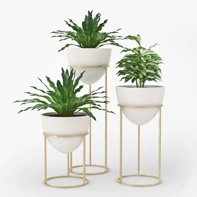 Plants – Flowers – 3D Models Download – 0475