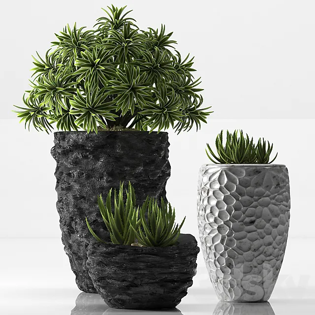 Plants – Flowers – 3D Models Download – 0477