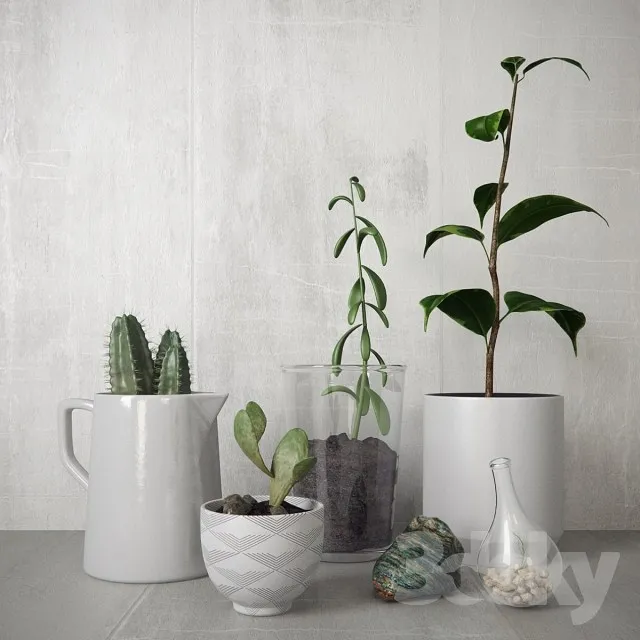 Plants – Flowers – 3D Models Download – 0478