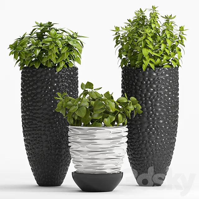 Plants – Flowers – 3D Models Download – 0481