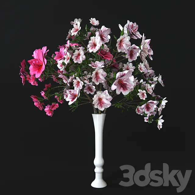 Plants – Flowers – 3D Models Download – 0485