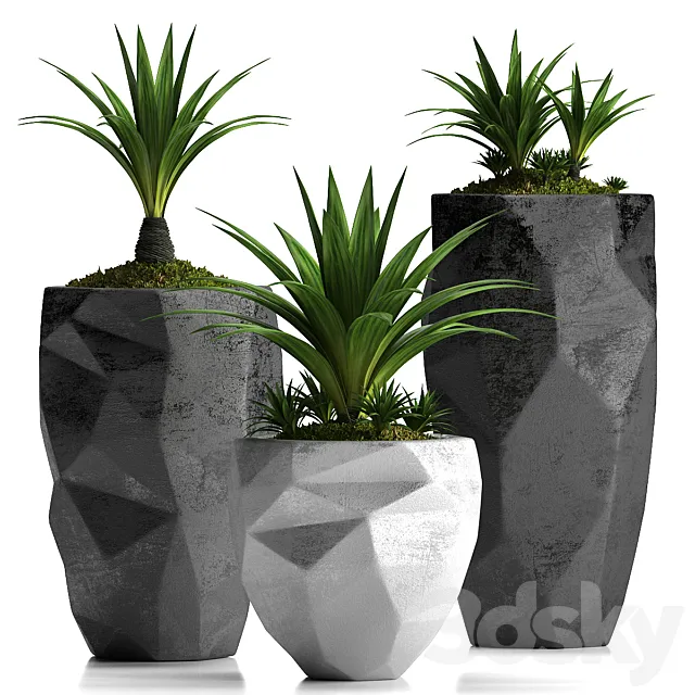 Plants – Flowers – 3D Models Download – 0487