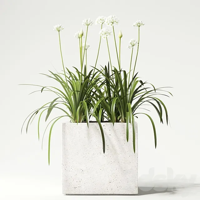 Plants – Flowers – 3D Models Download – 0493