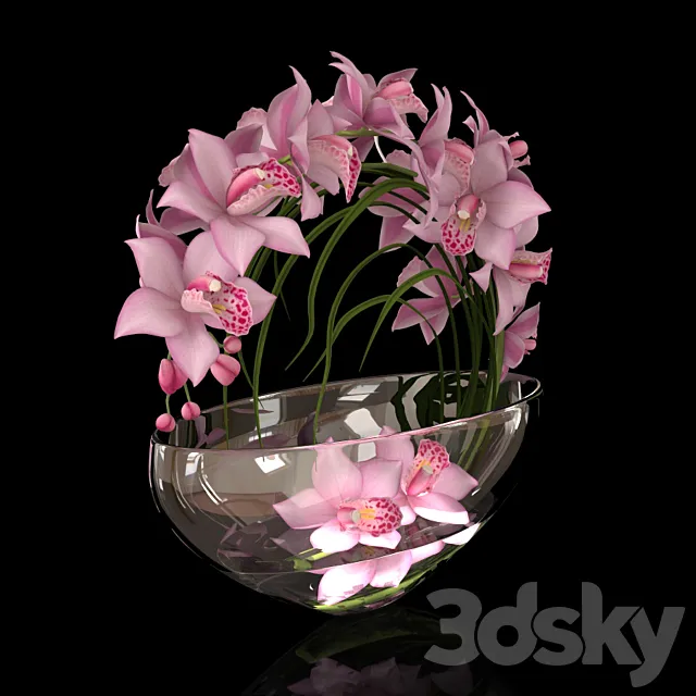 Plants – Flowers – 3D Models Download – 0494