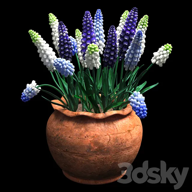 Plants – Flowers – 3D Models Download – 0495