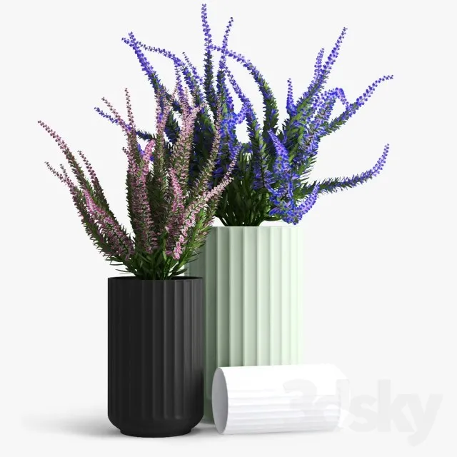 Plants – Flowers – 3D Models Download – 0502