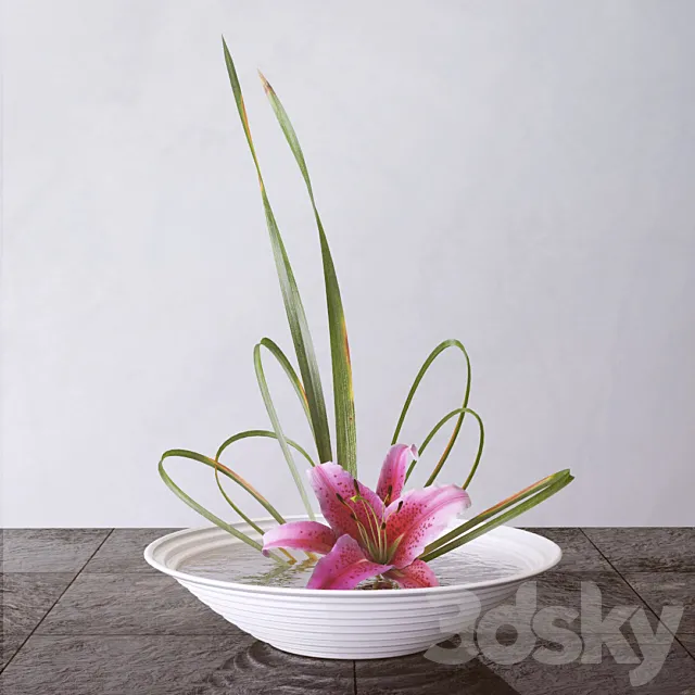 Plants – Flowers – 3D Models Download – 0503