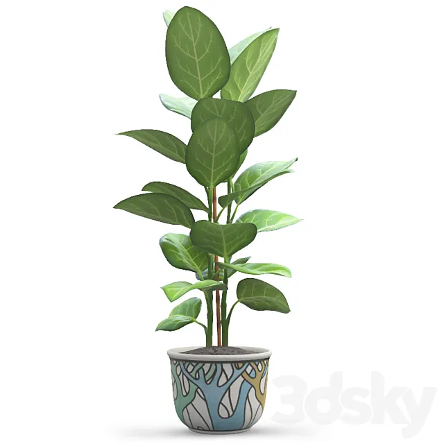 Andre Ficus 3DS Max - thumbnail 3