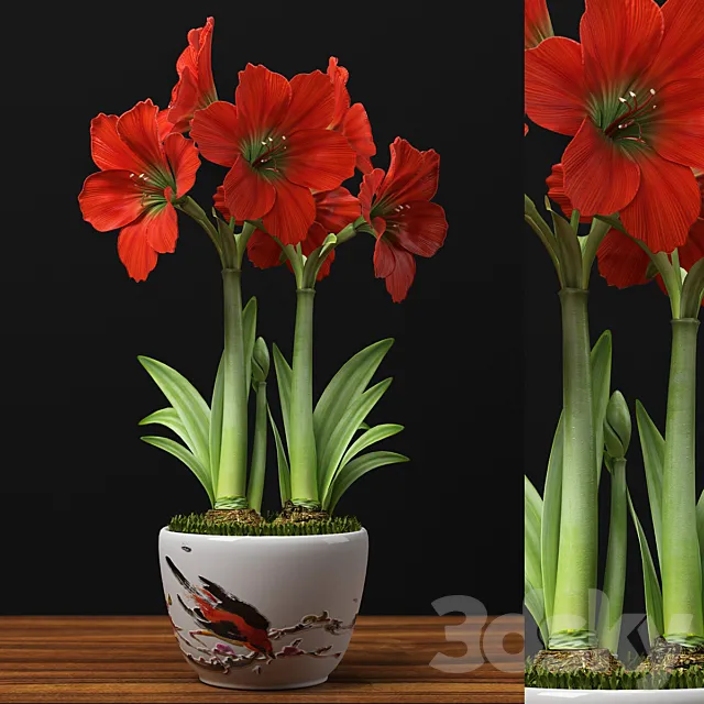 Plants – Flowers – 3D Models Download – 0511