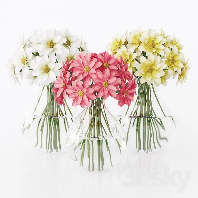 Plants – Flowers – 3D Models Download – 0522