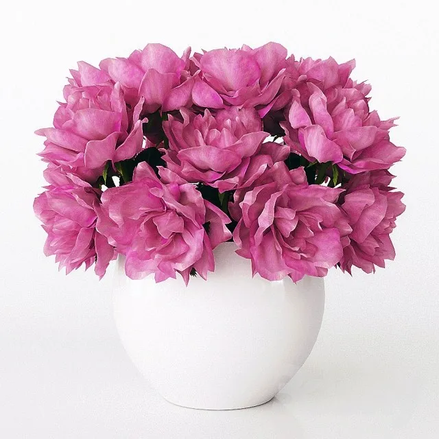 Plants – Flowers – 3D Models Download – 0523